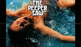 夜童电影在线观看,在线观影新体验，探索光影世界的奇幻之旅